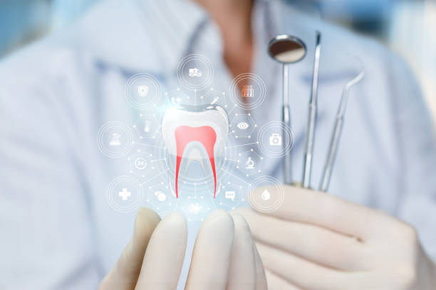 Why Choose Us for Your Dental Needs in Elkhorn, CA